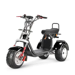 Electrac 4000w-40Ah Swinging Trike Dual Drive Motor All Terrain Hydraulic brake